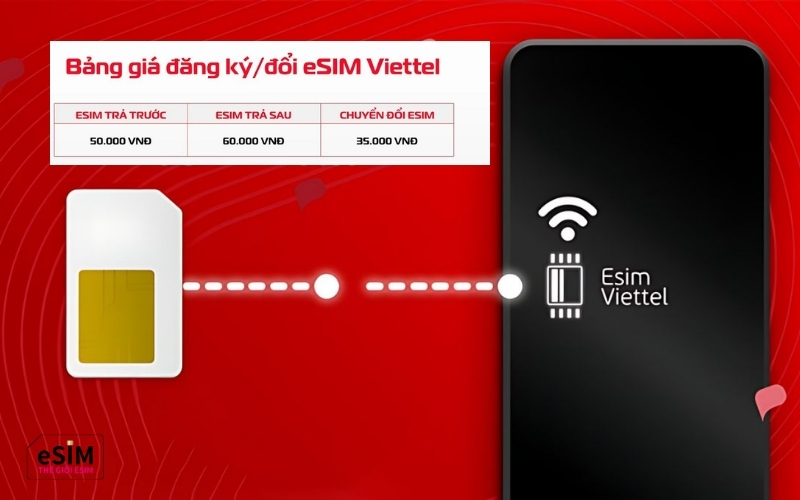 dang ky esim co mat phi khong 3.jpg